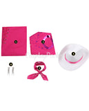 barbie costume with accessories