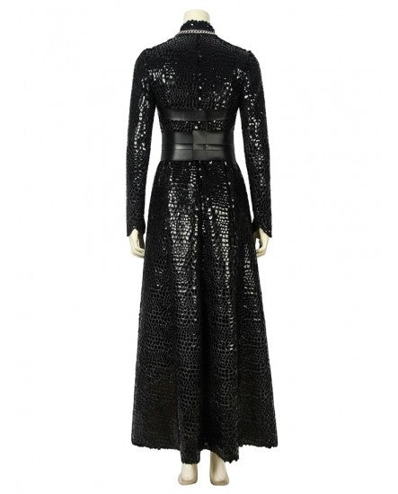 Sansa Stark Cosplay Dress
