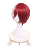 Todoroki Shoto Wigs